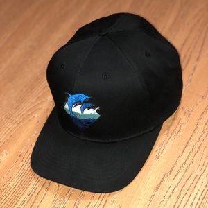 Pink Dolphin Hat